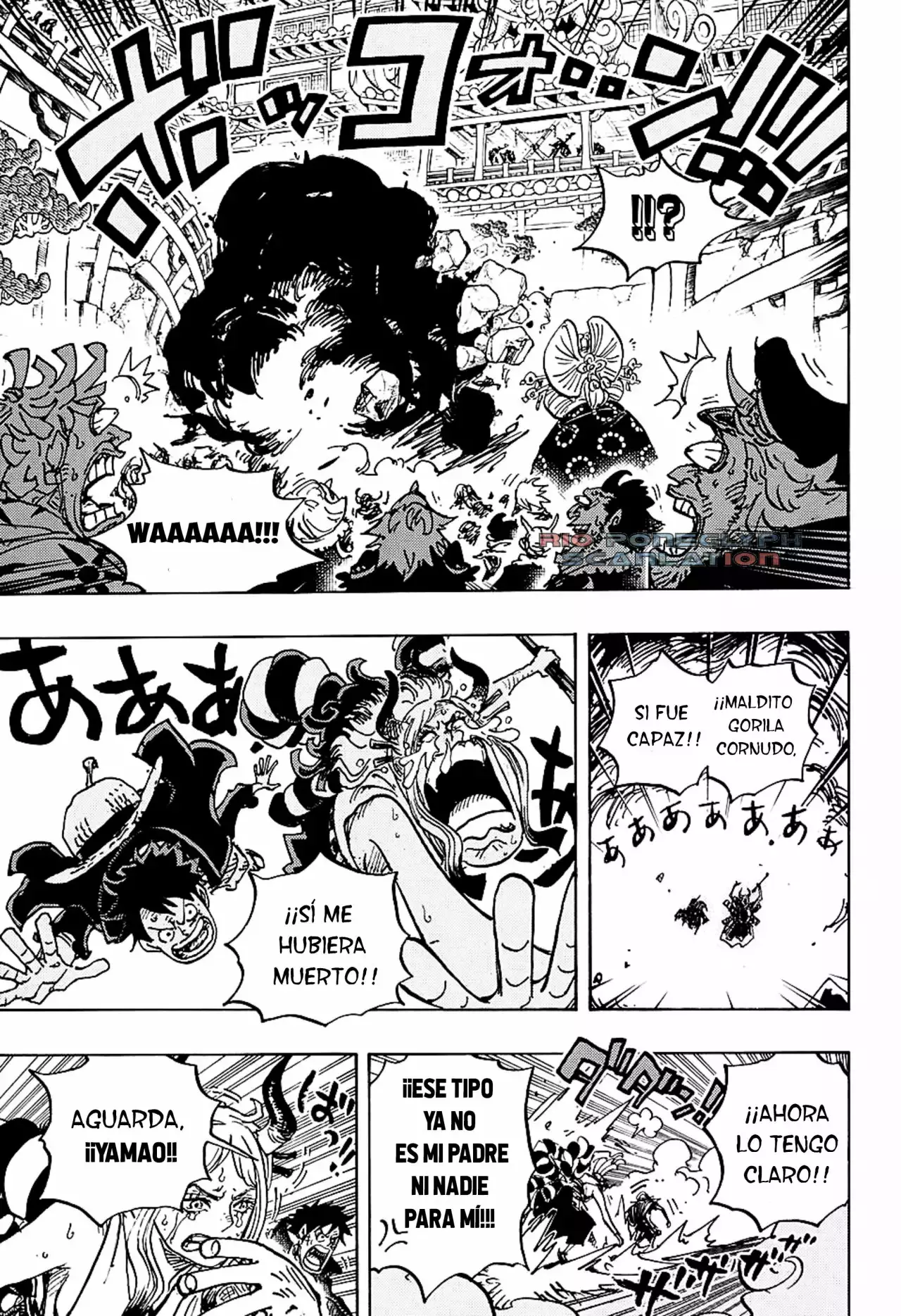 One Piece capítulo 986 página 13