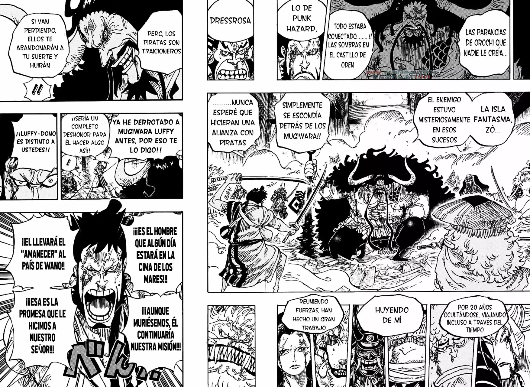 One Piece capítulo 987.5 página 11