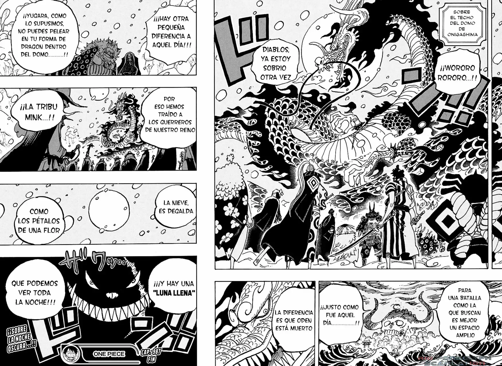 One Piece capítulo 987.5 página 15