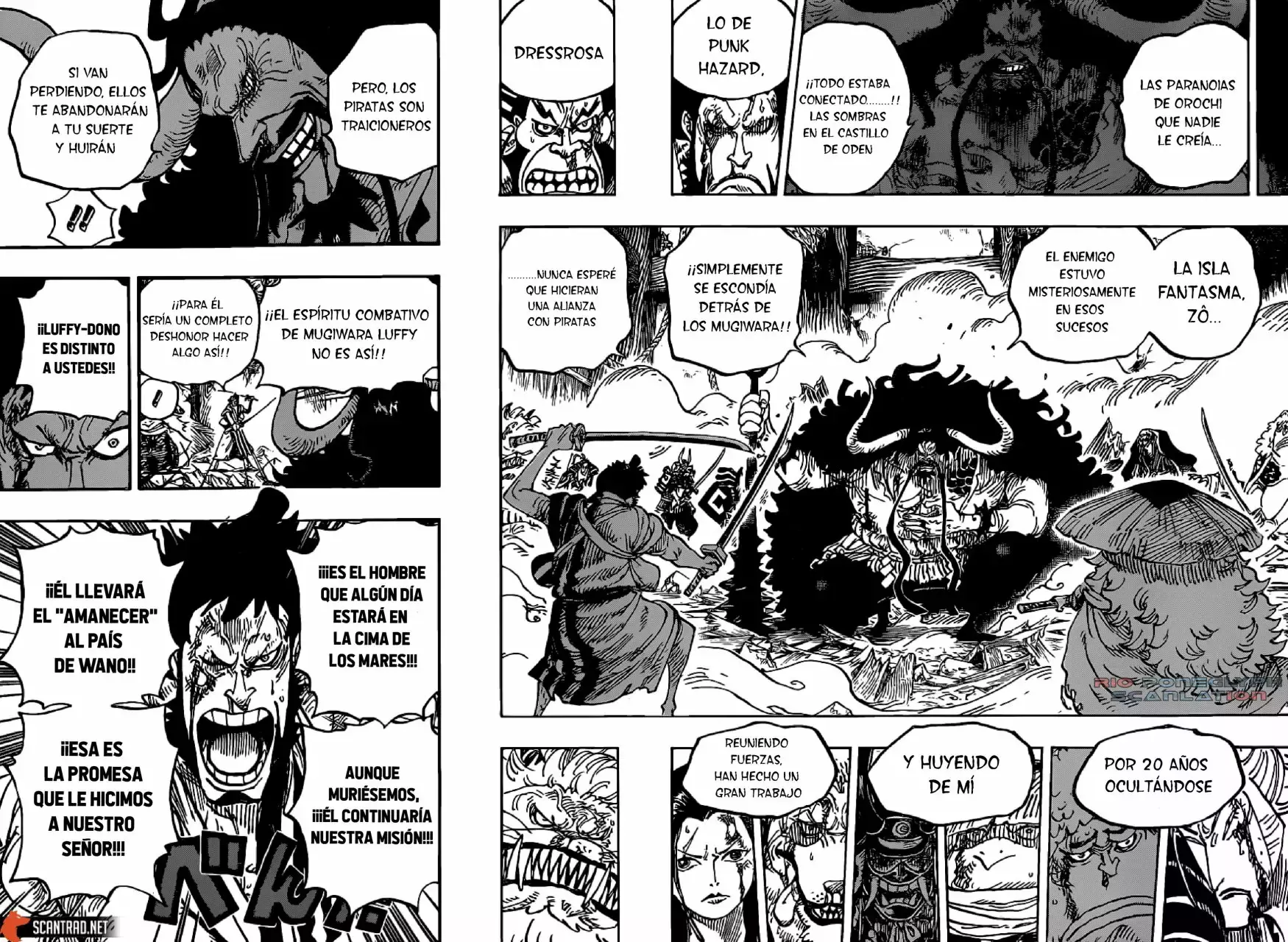 One Piece capítulo 987 página 11