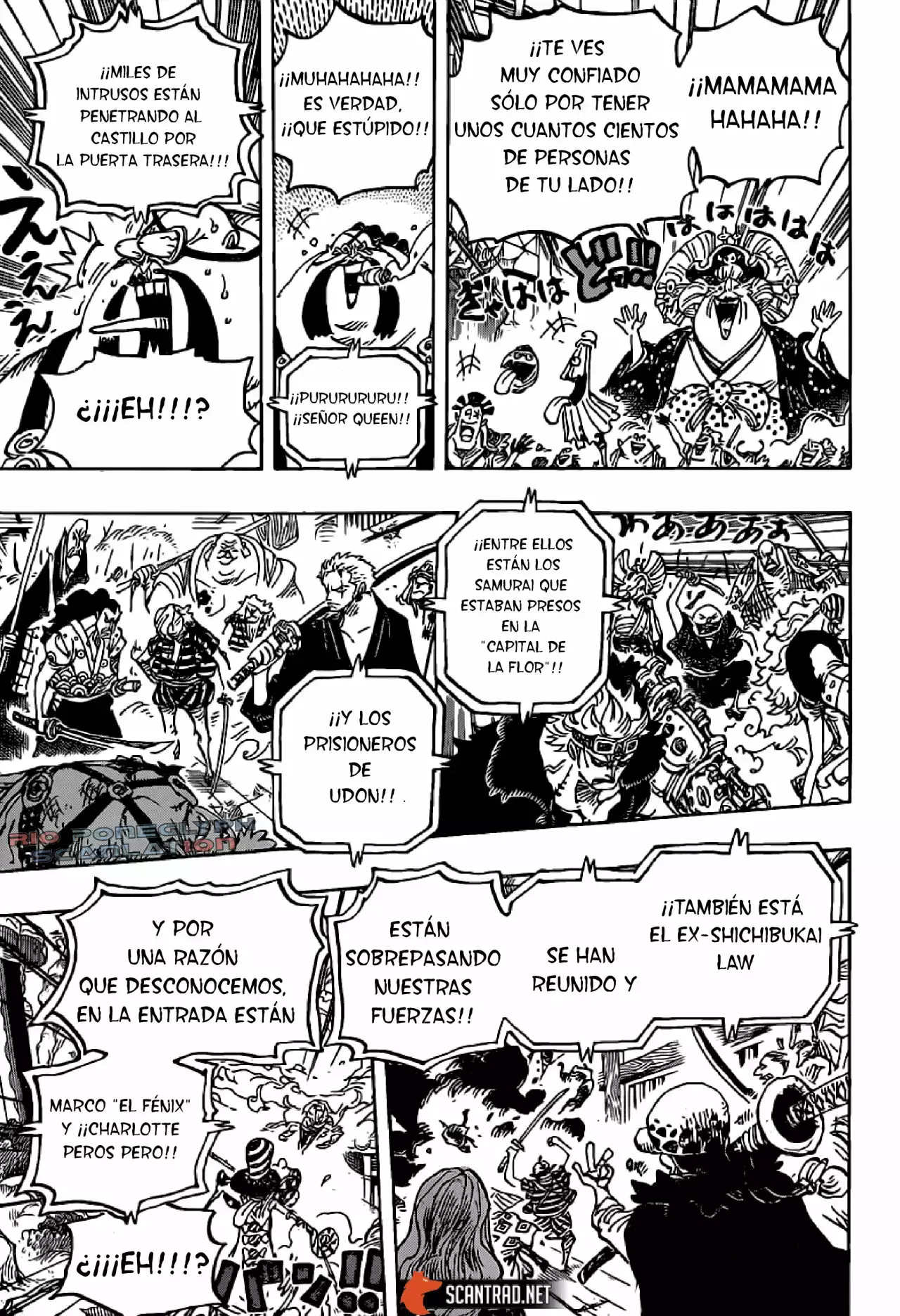 One Piece capítulo 987 página 13