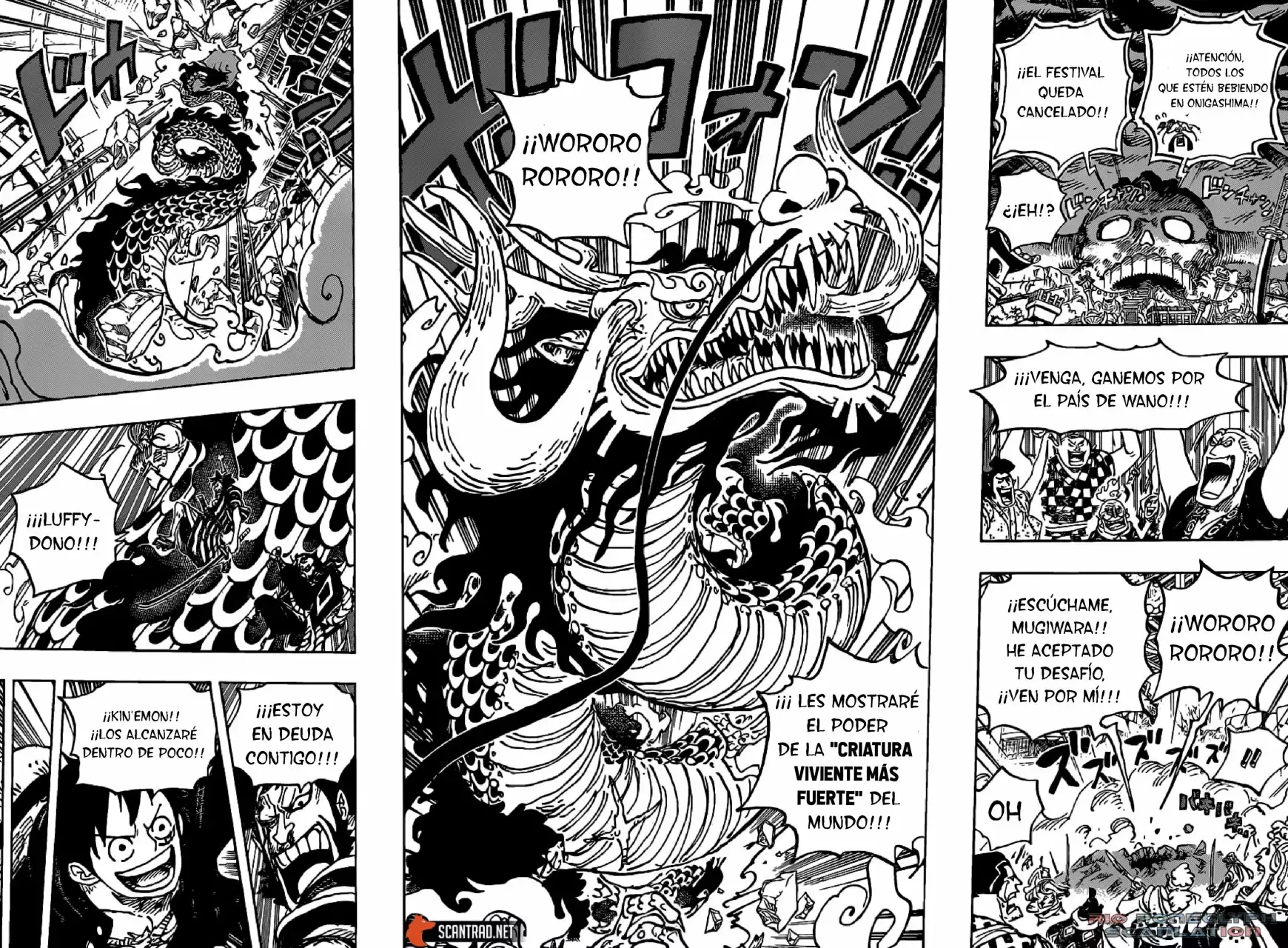 One Piece capítulo 987 página 14