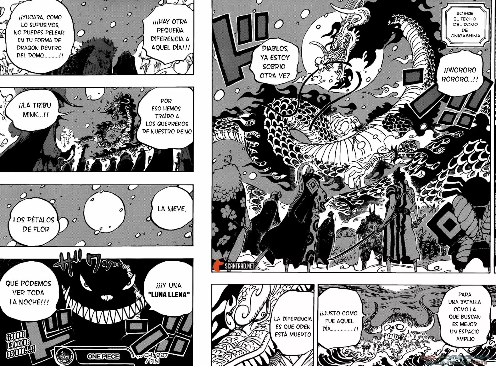 One Piece capítulo 987 página 15