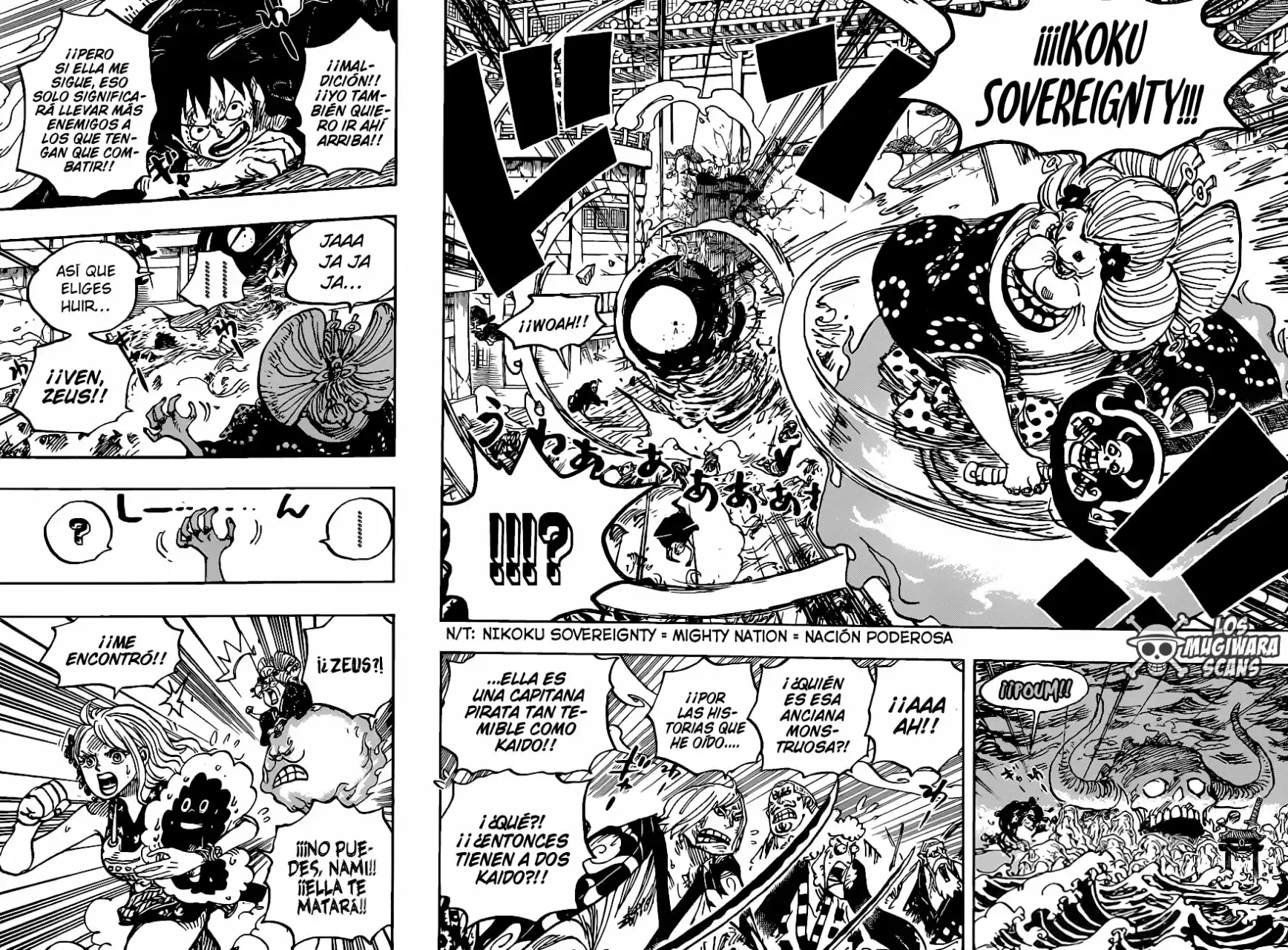 One Piece capítulo 988.5 página 12