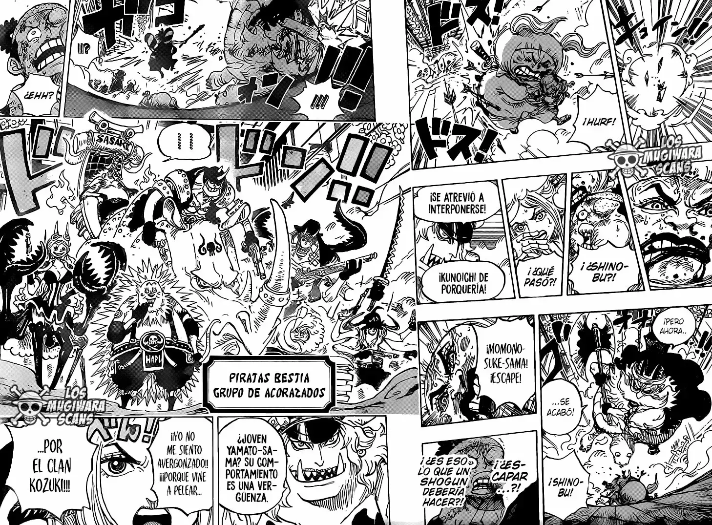 One Piece capítulo 993 página 14
