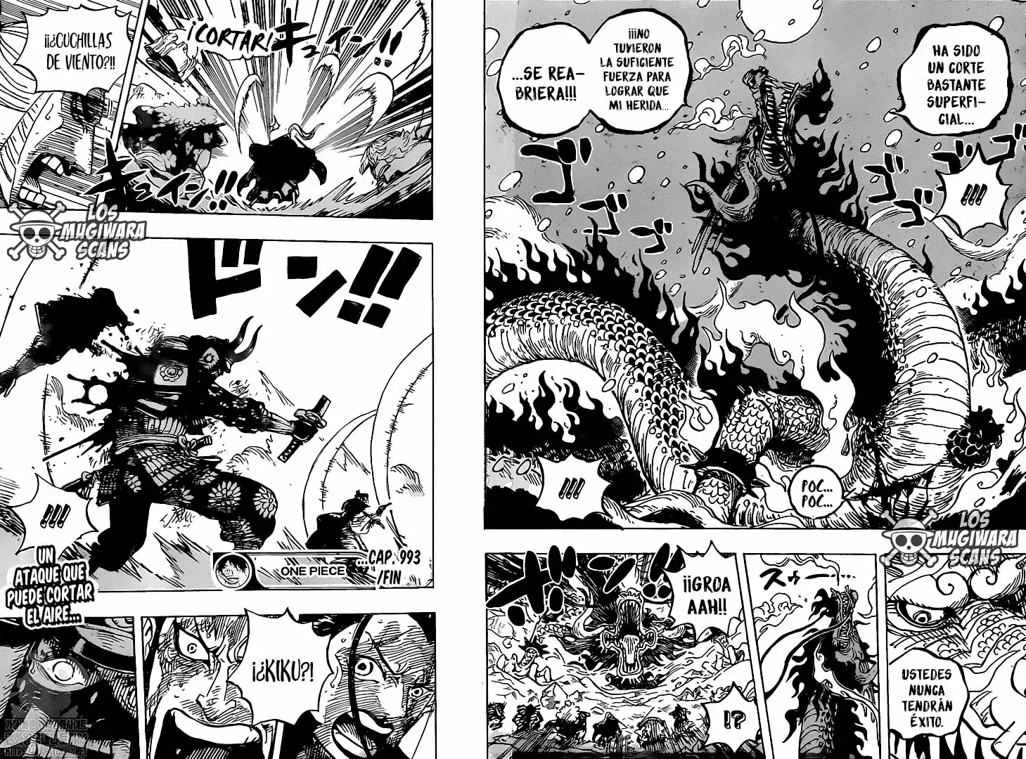 One Piece capítulo 993 página 17