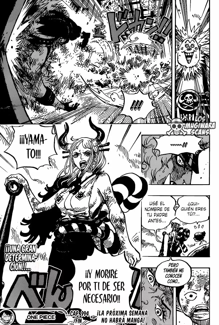 One Piece capítulo 994.5 página 17