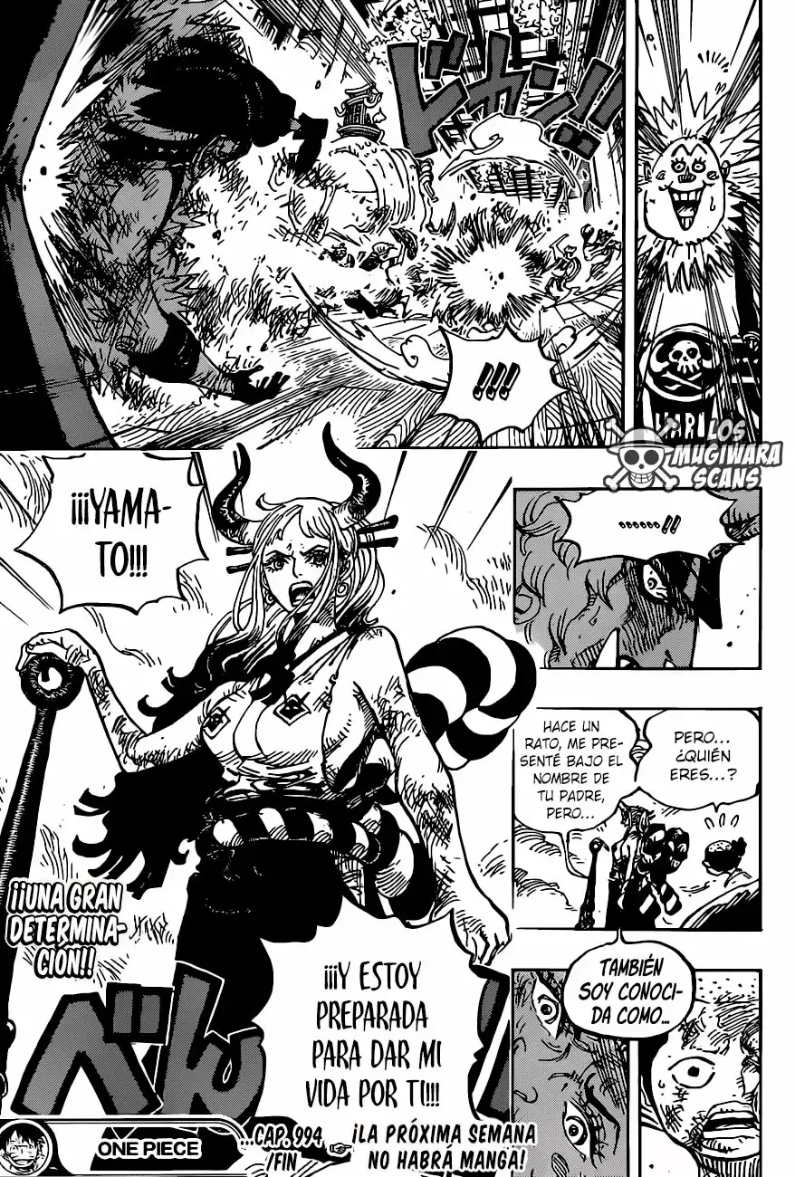One Piece capítulo 994 página 18