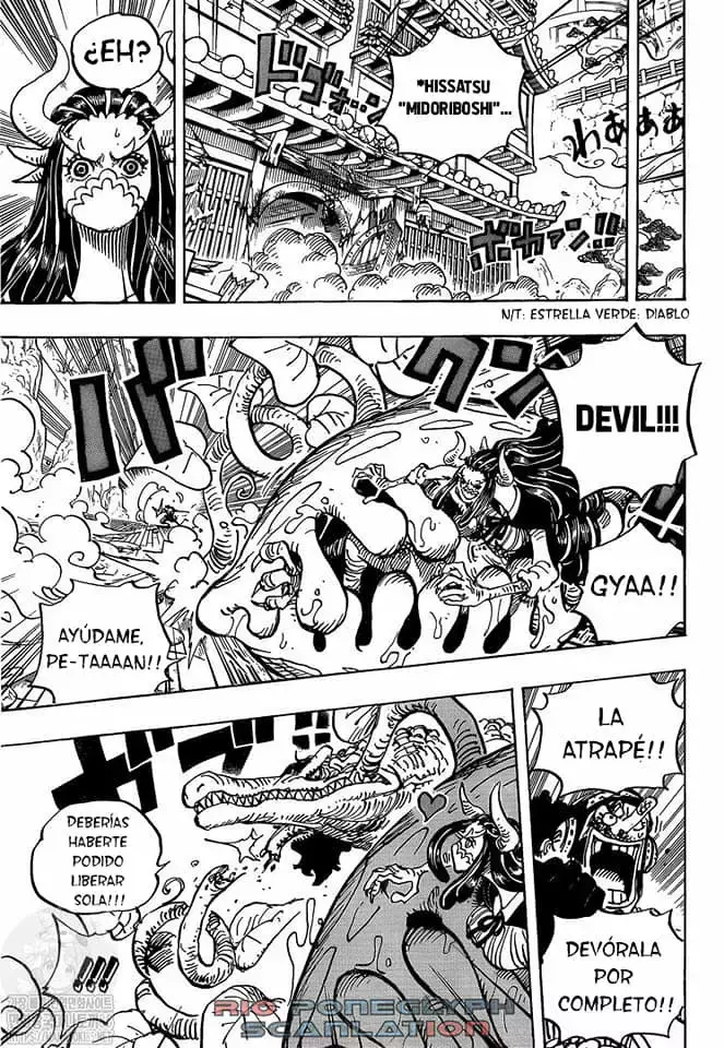 One Piece capítulo 995 página 14