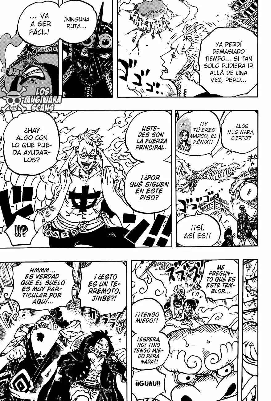 One Piece capítulo 997 página 15
