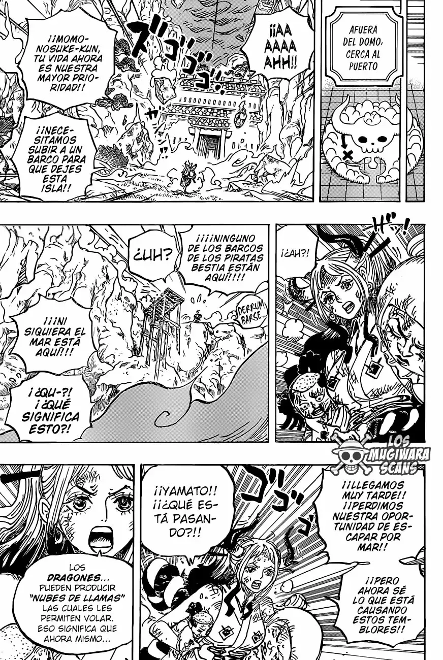 One Piece capítulo 997 página 17