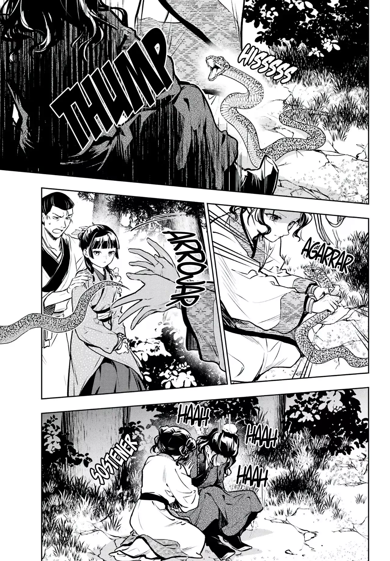 Kusuriya no Hitorigoto capítulo 74 página 17