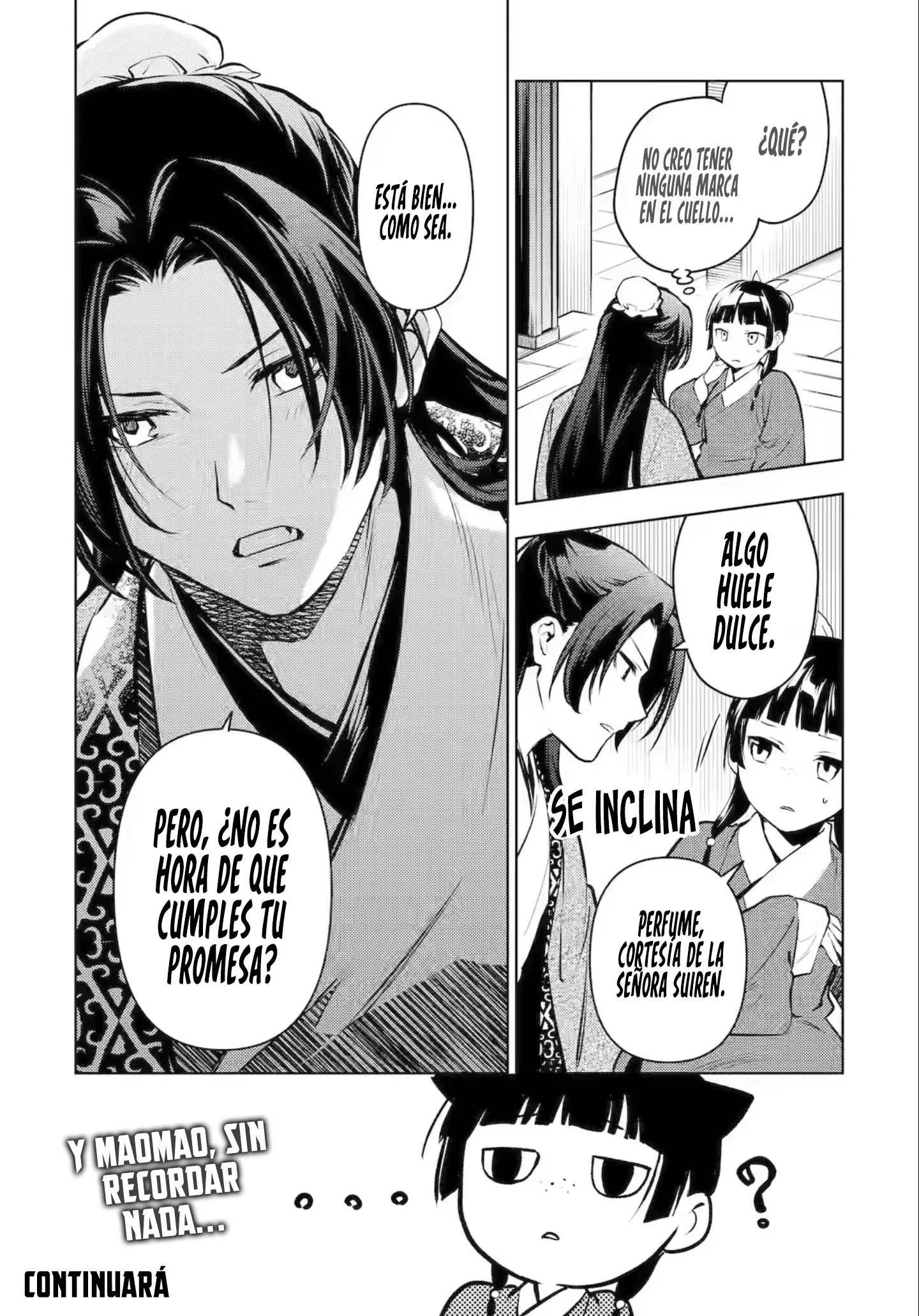 Kusuriya no Hitorigoto capítulo 85.1 página 10