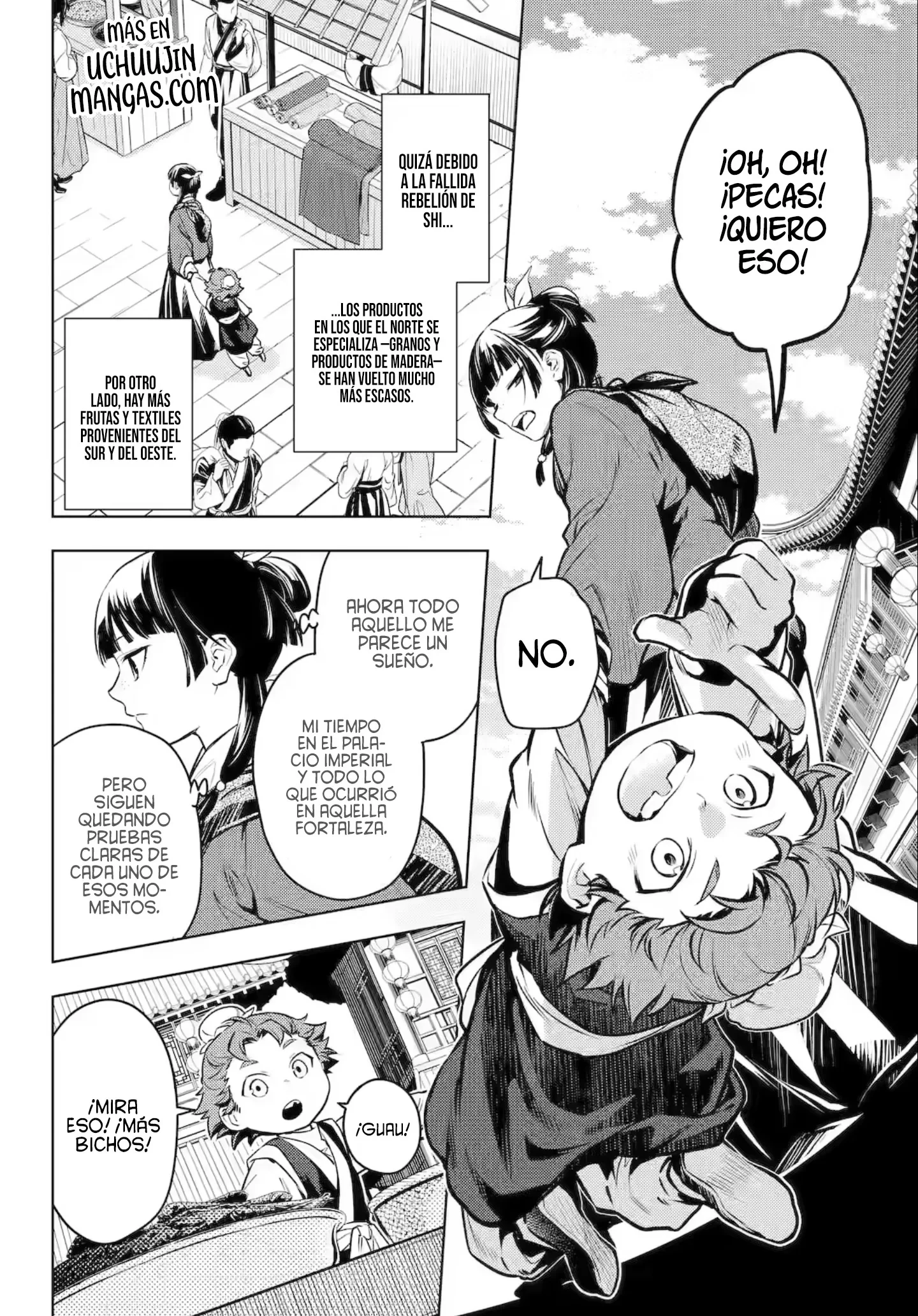 Kusuriya no Hitorigoto capítulo 86.1 página 14