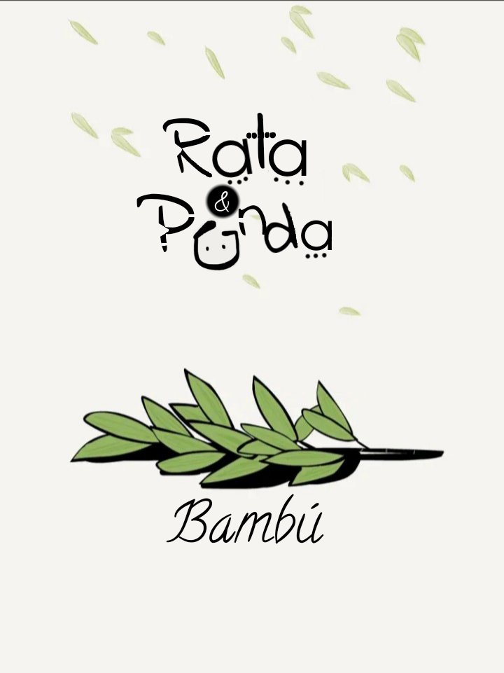 Compañeros de Bambú capítulo 1 página 3