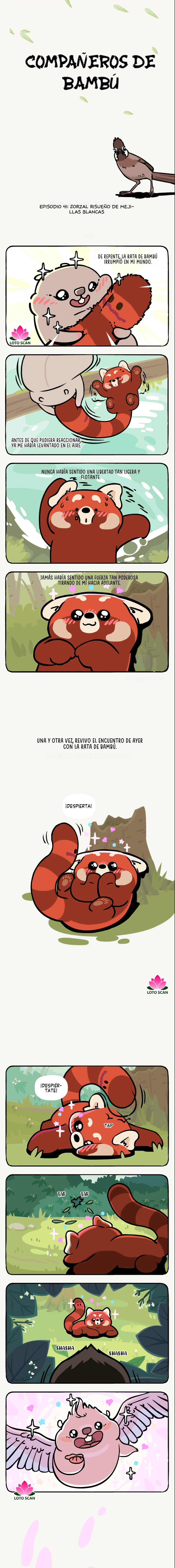 Compañeros de Bambú capítulo 41 página 2