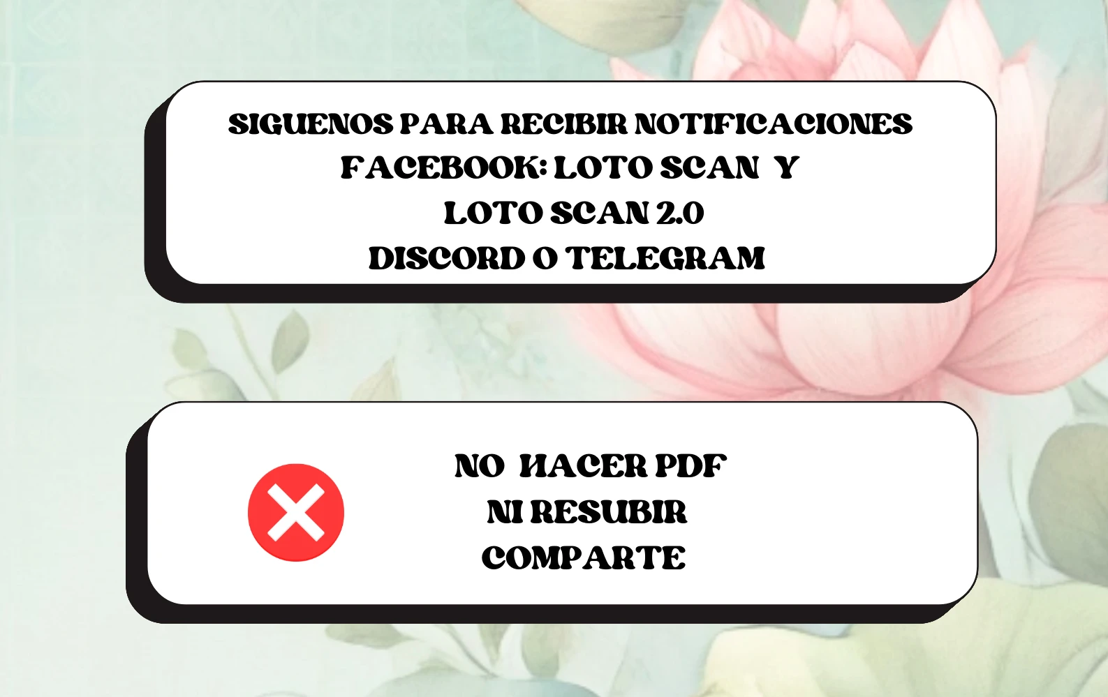 Compañeros de Bambú capítulo 41 página 5
