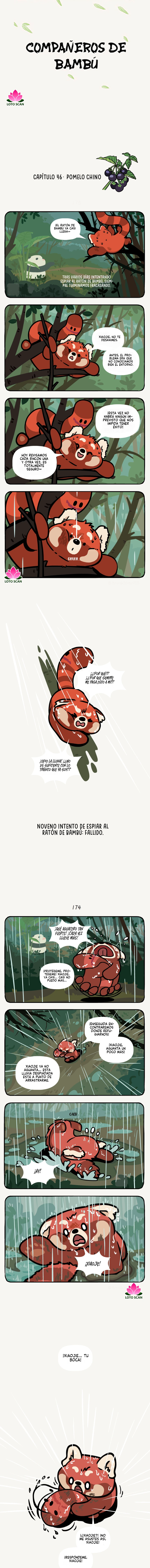 Compañeros de Bambú capítulo 46 página 2