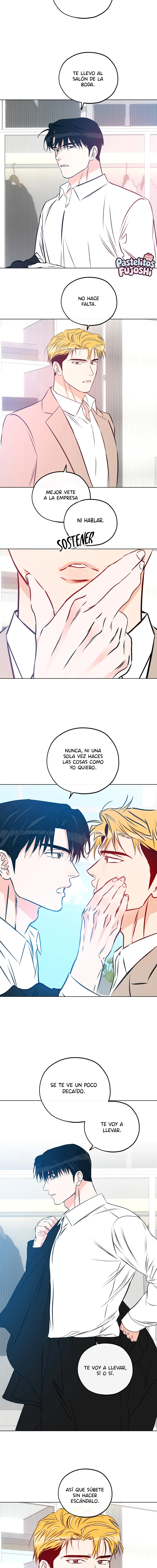 orden de amor capítulo 27 página 3