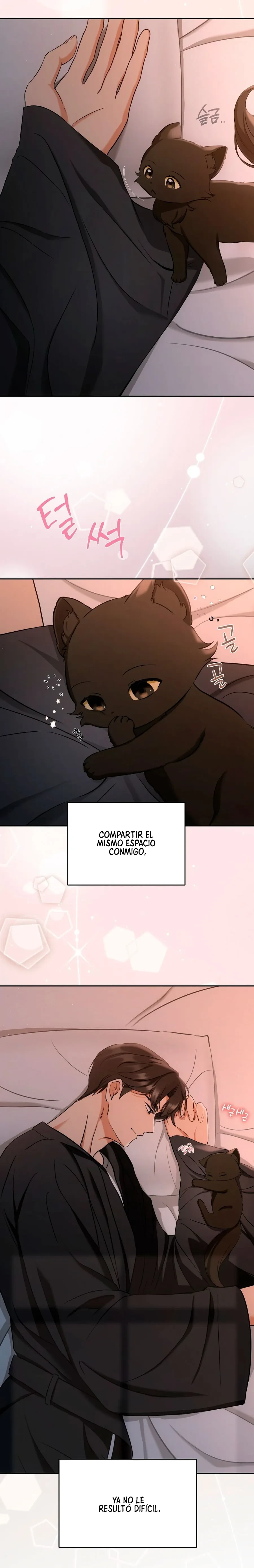 Terapia de gatos capítulo 2 página 13
