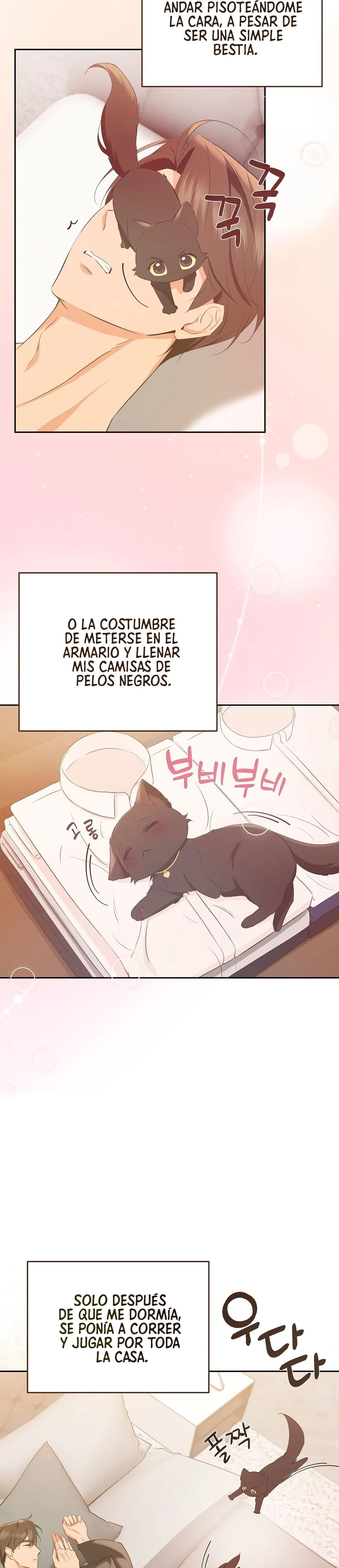 Terapia de gatos capítulo 4 página 7