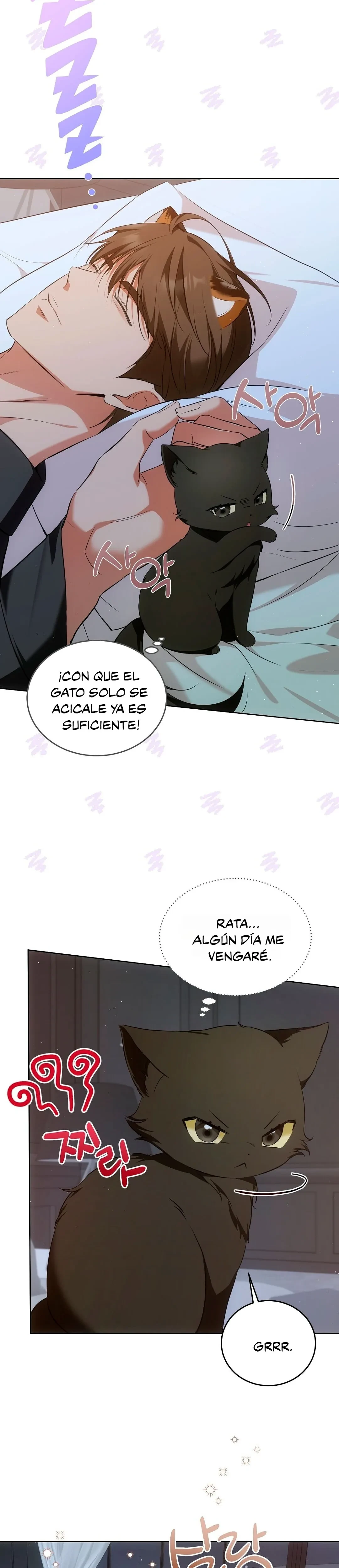 Terapia de gatos capítulo 7 página 4