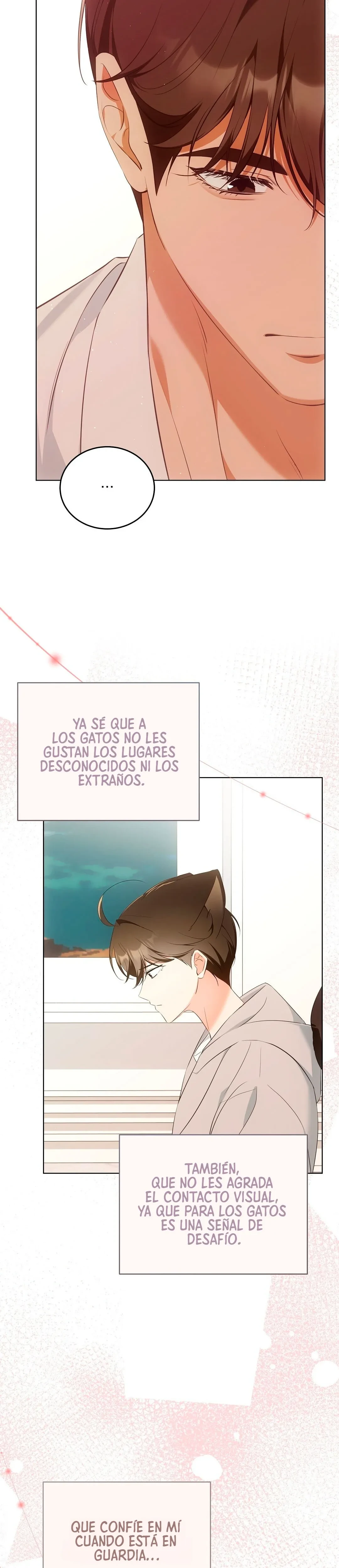 Terapia de gatos capítulo 9 página 20
