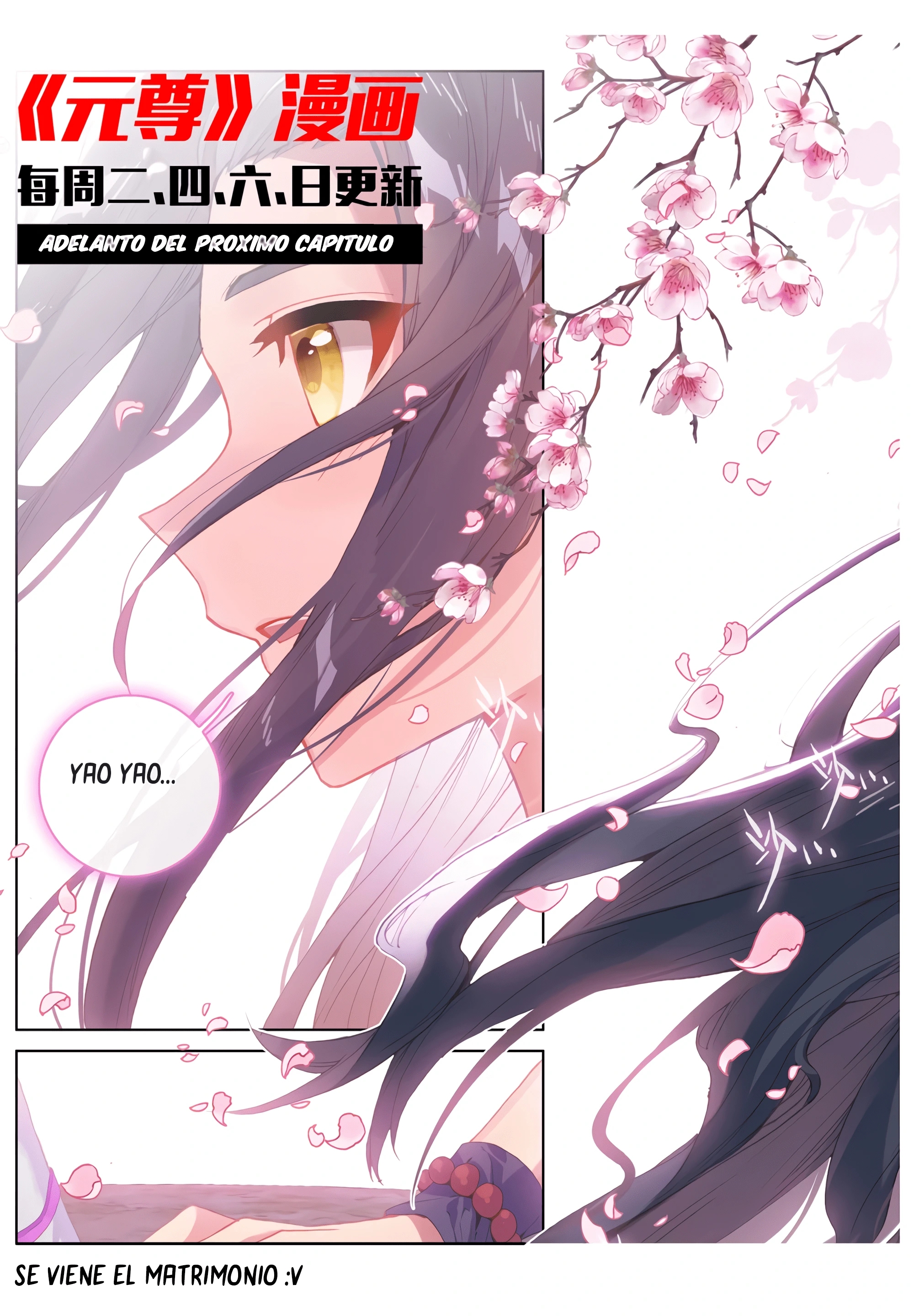 Yuan Zun capítulo 599 página 11