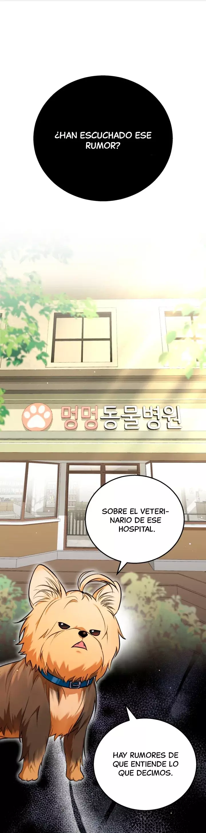 ¡Veterinario! ¿Hola? capítulo 1 página 2