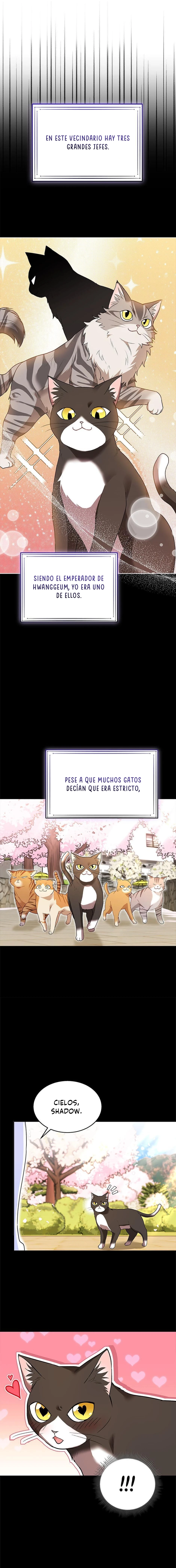 ¡Veterinario! ¿Hola? capítulo 30 página 13