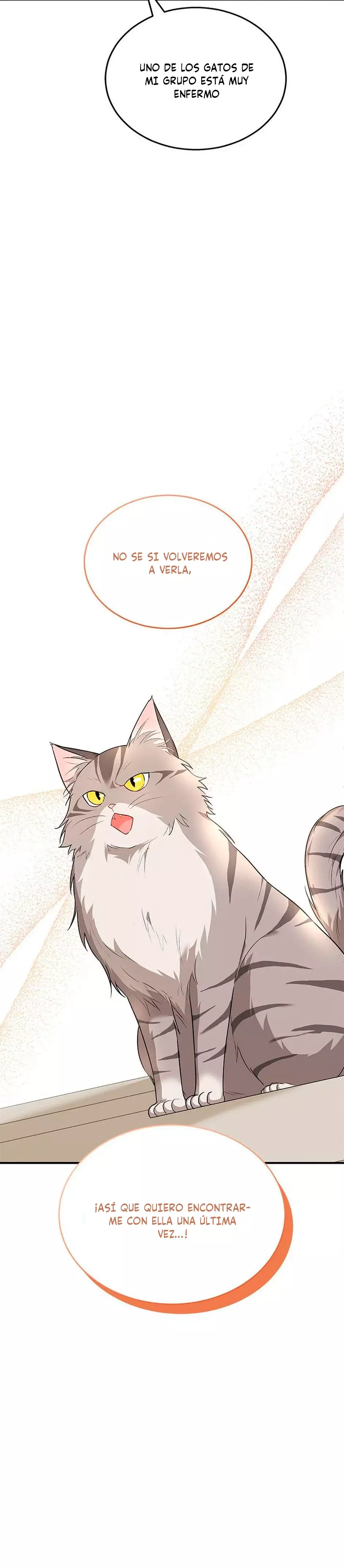 ¡Veterinario! ¿Hola? capítulo 7 página 3