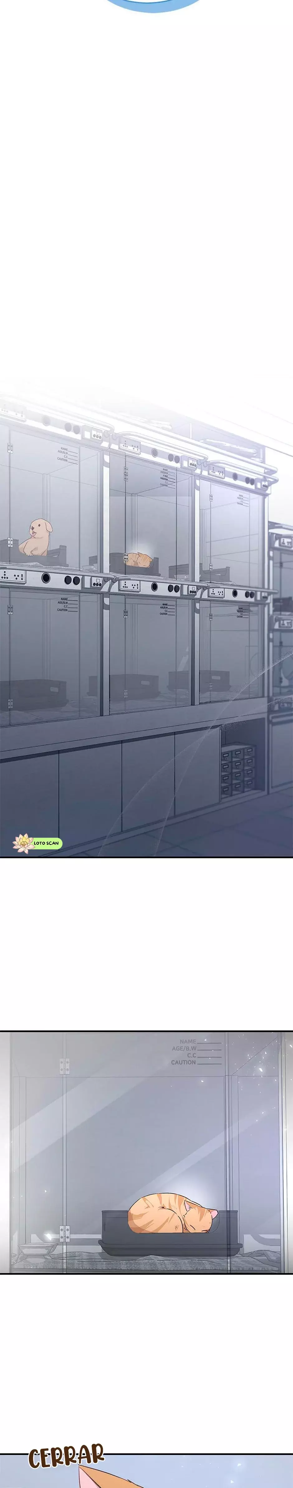 ¡Veterinario! ¿Hola? capítulo 7 página 7