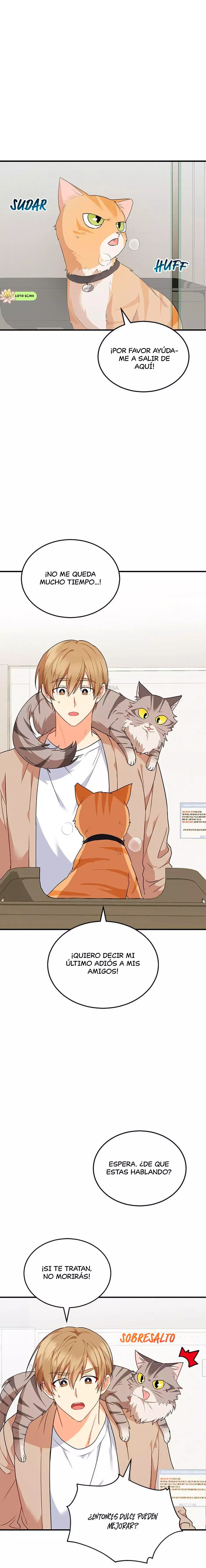 ¡Veterinario! ¿Hola? capítulo 8 página 2