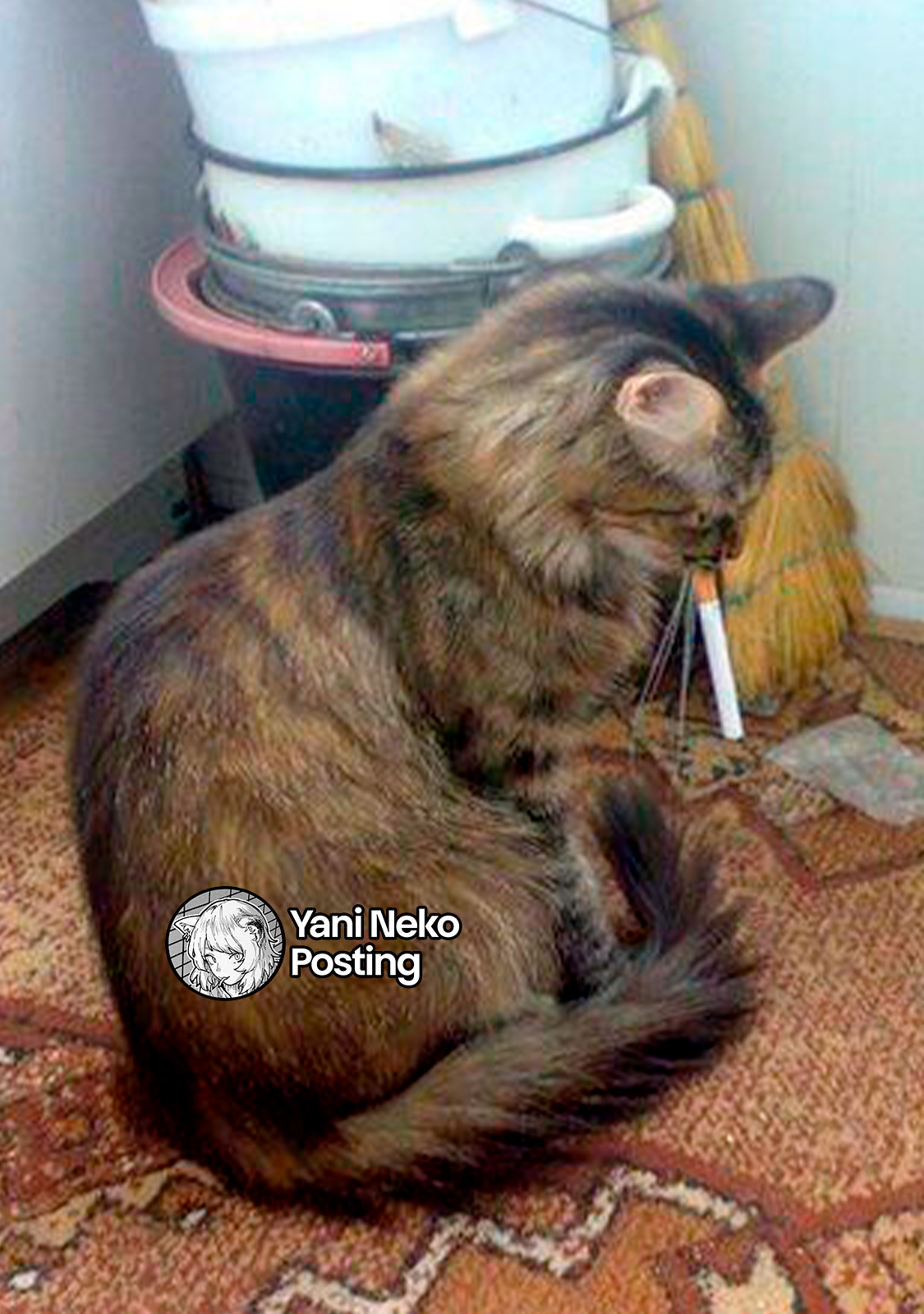 NICOTINEKO capítulo 110 página 5