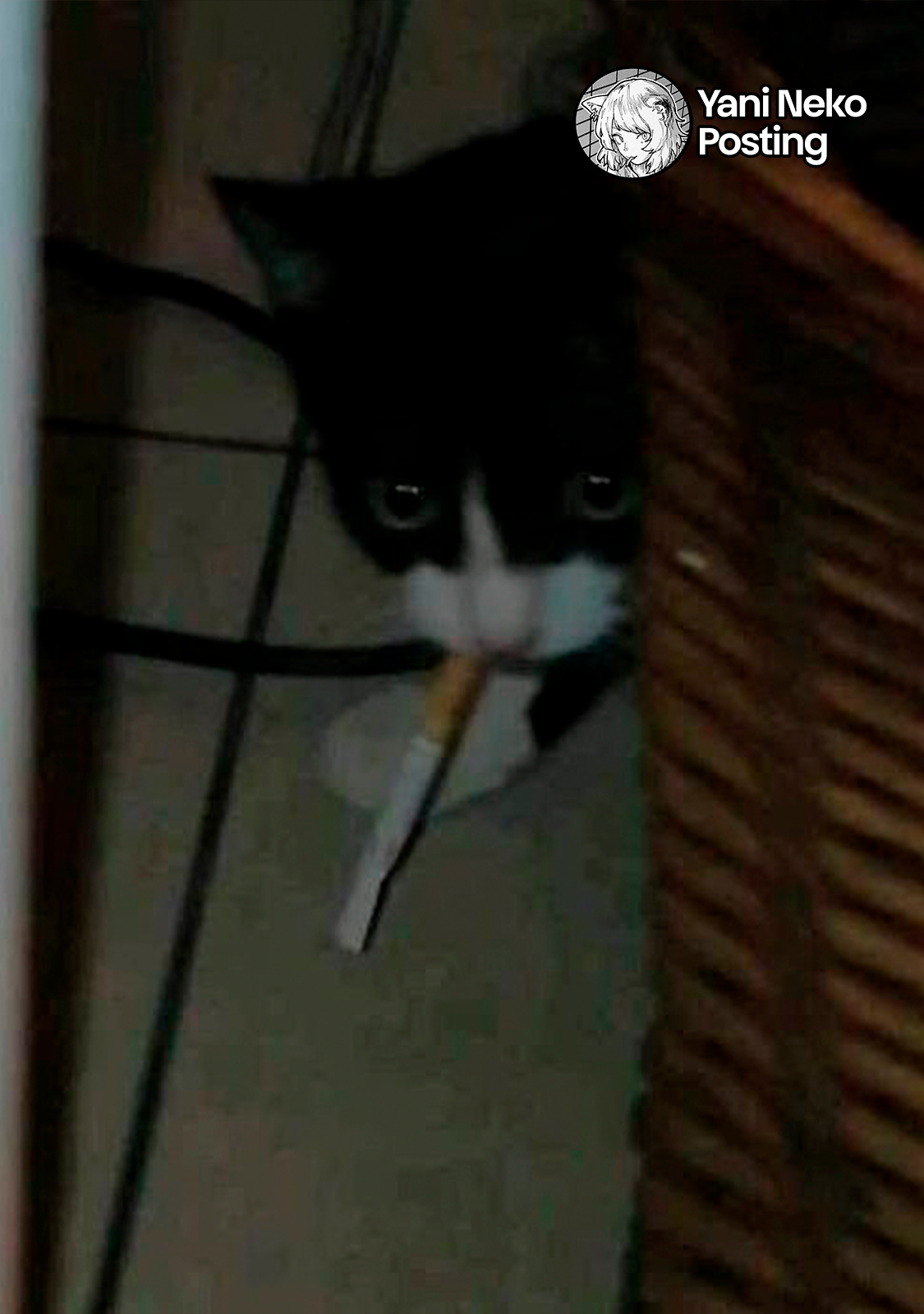 NICOTINEKO capítulo 143 página 7