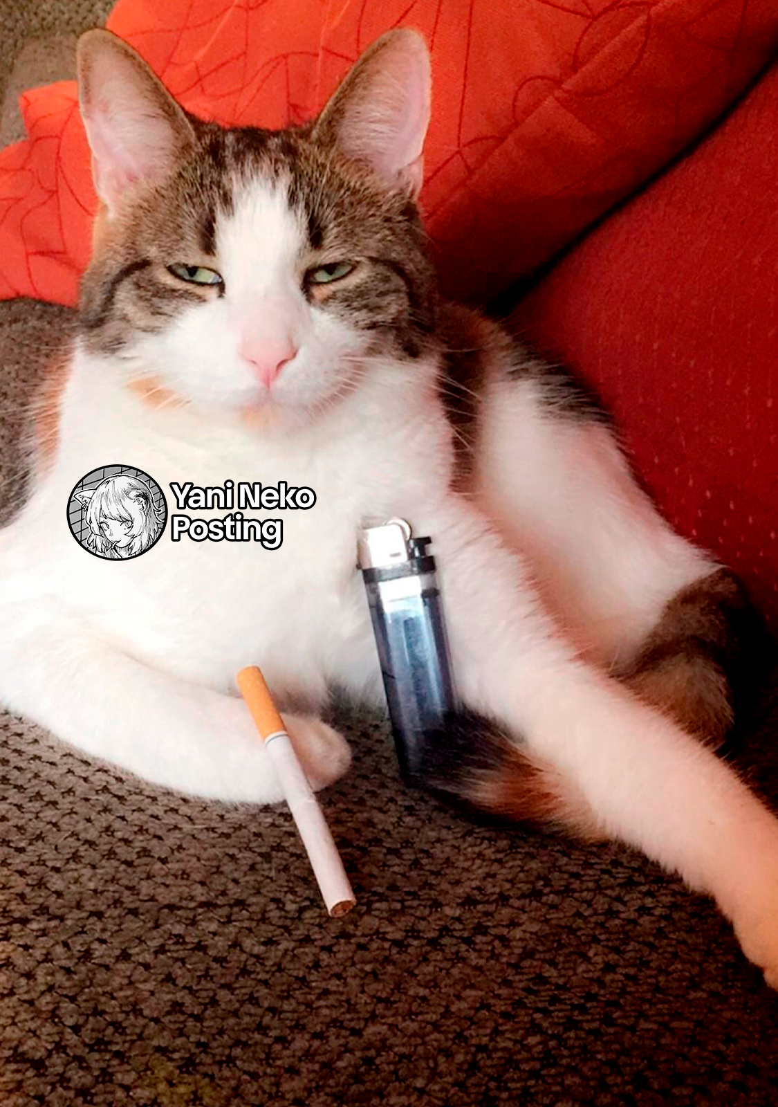 NICOTINEKO capítulo 151 página 5