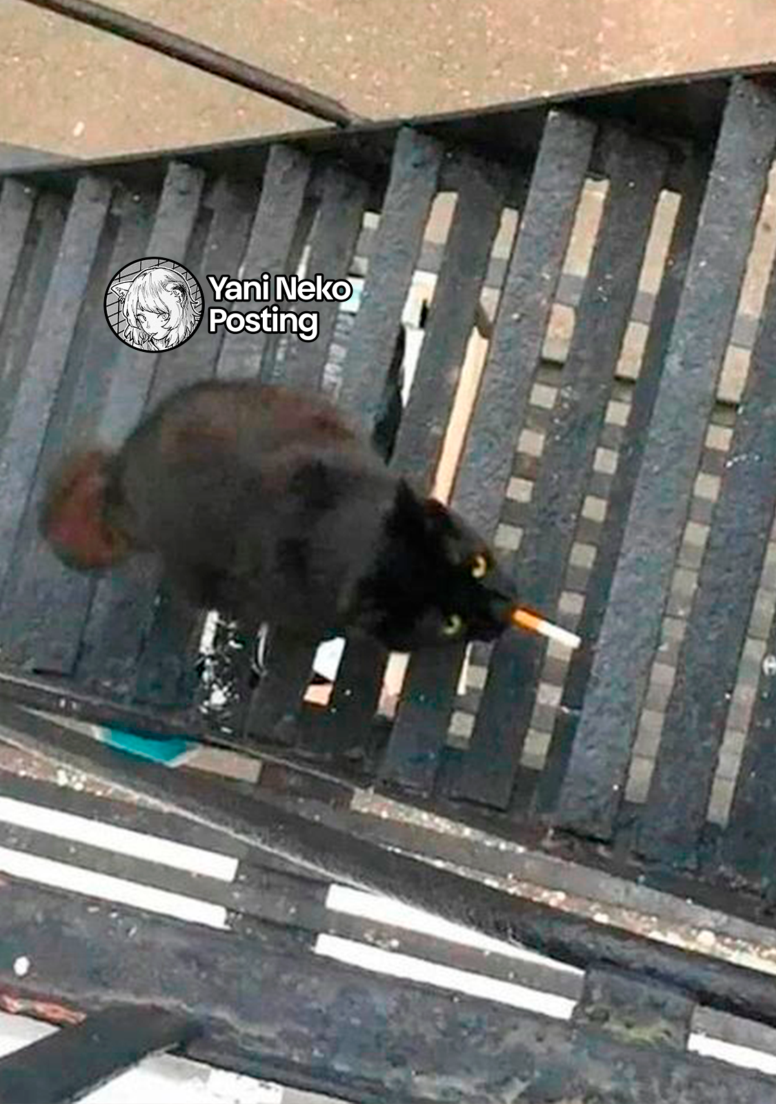 NICOTINEKO capítulo 162 página 7
