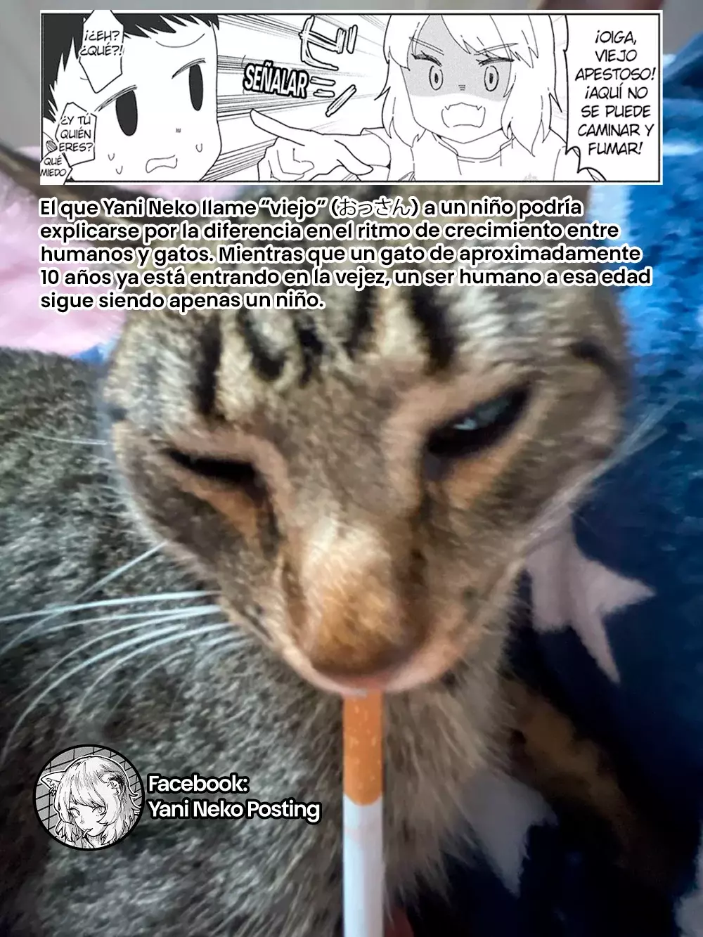 NICOTINEKO capítulo 18 página 5