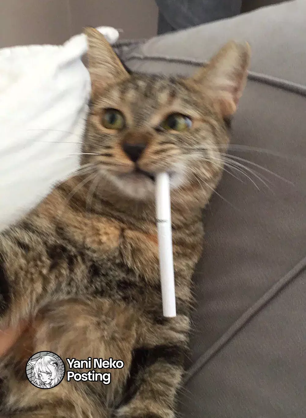 NICOTINEKO capítulo 21 página 6