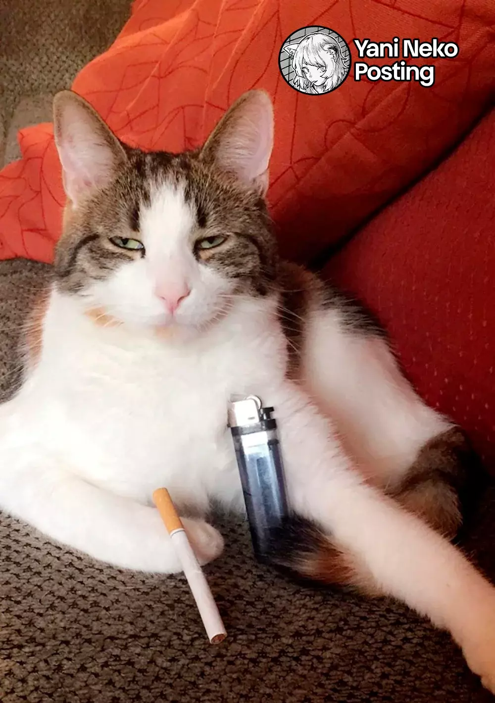 NICOTINEKO capítulo 22 página 5