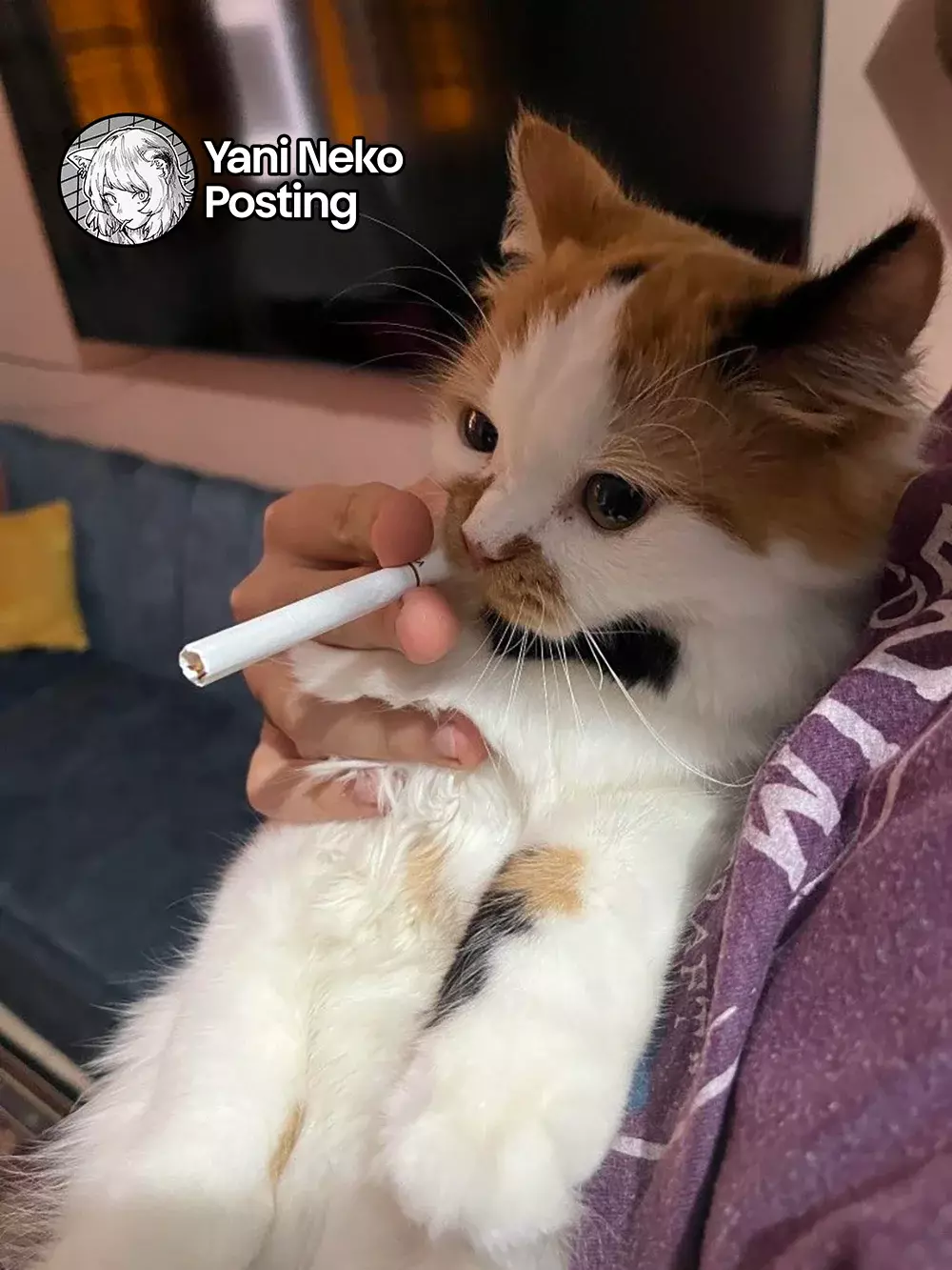 NICOTINEKO capítulo 23 página 5