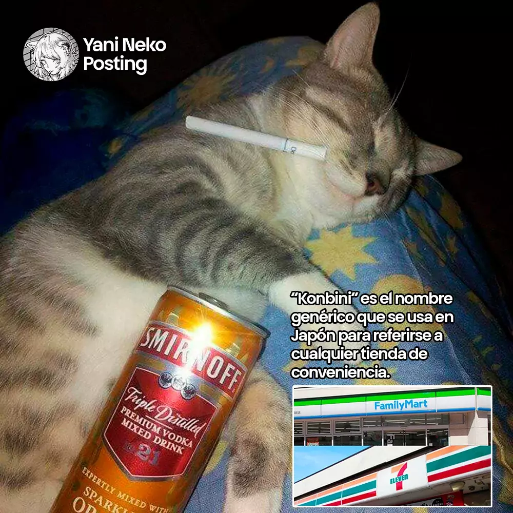 NICOTINEKO capítulo 24 página 5
