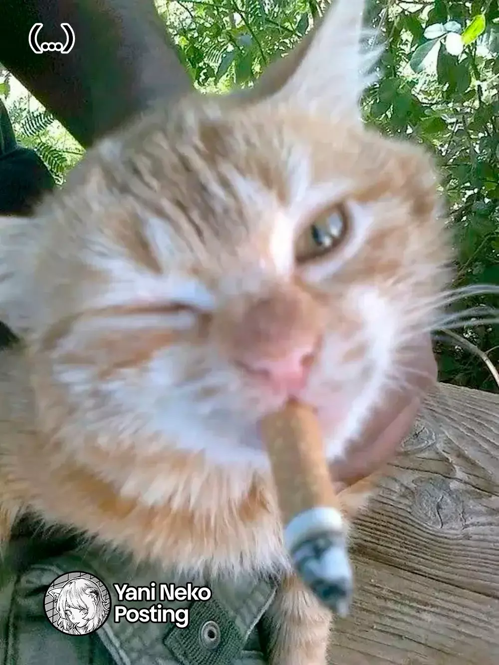 NICOTINEKO capítulo 25 página 5