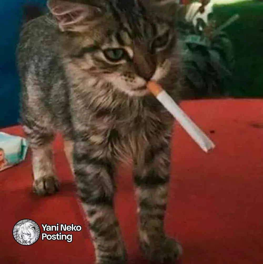 NICOTINEKO capítulo 26 página 7