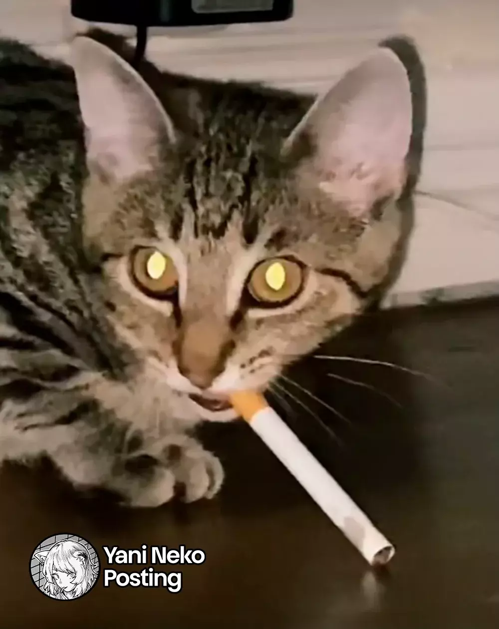 NICOTINEKO capítulo 27.5 página 8
