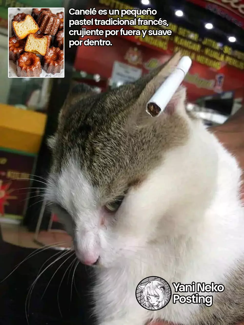 NICOTINEKO capítulo 30 página 5