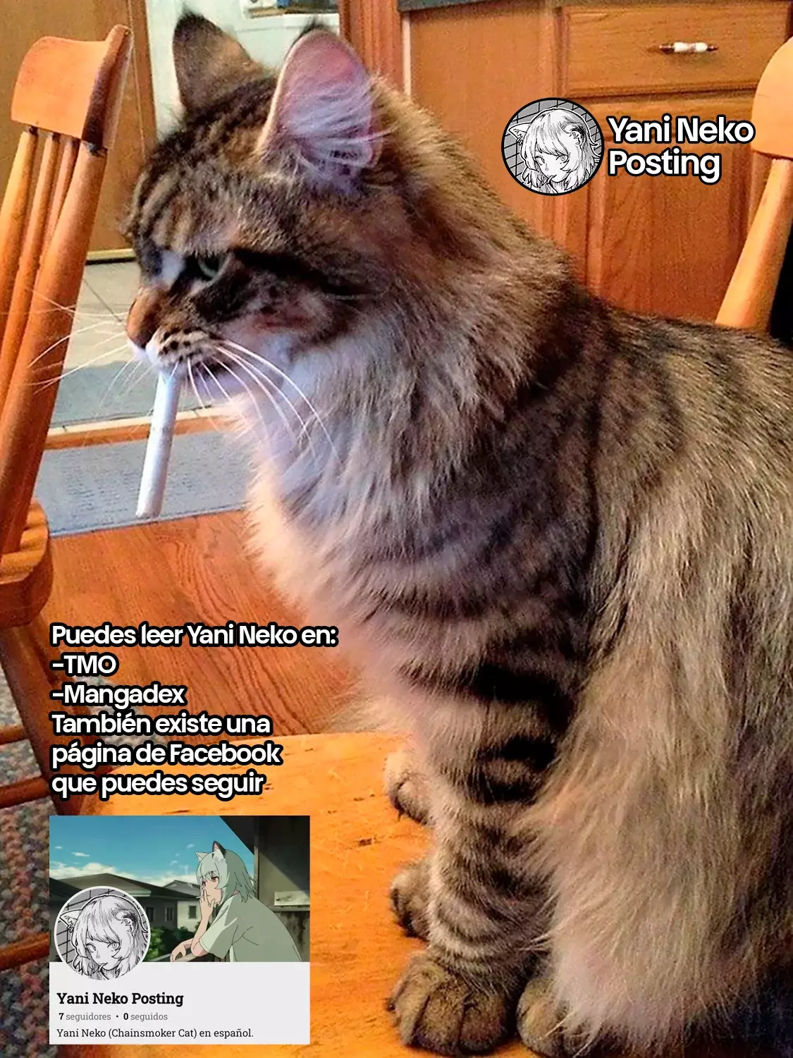 NICOTINEKO capítulo 32 página 5