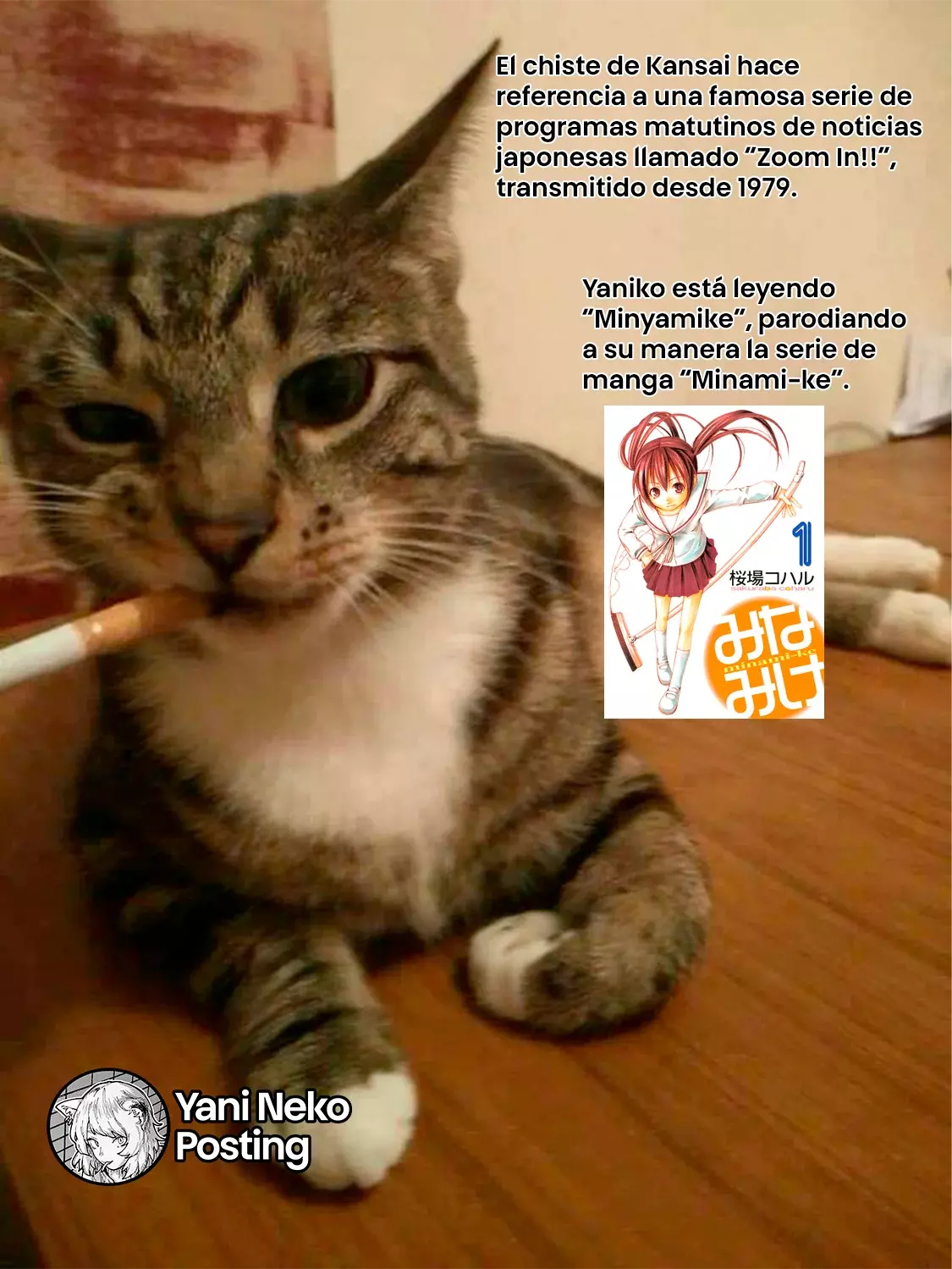 NICOTINEKO capítulo 35 página 9