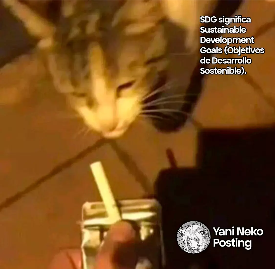 NICOTINEKO capítulo 36 página 5