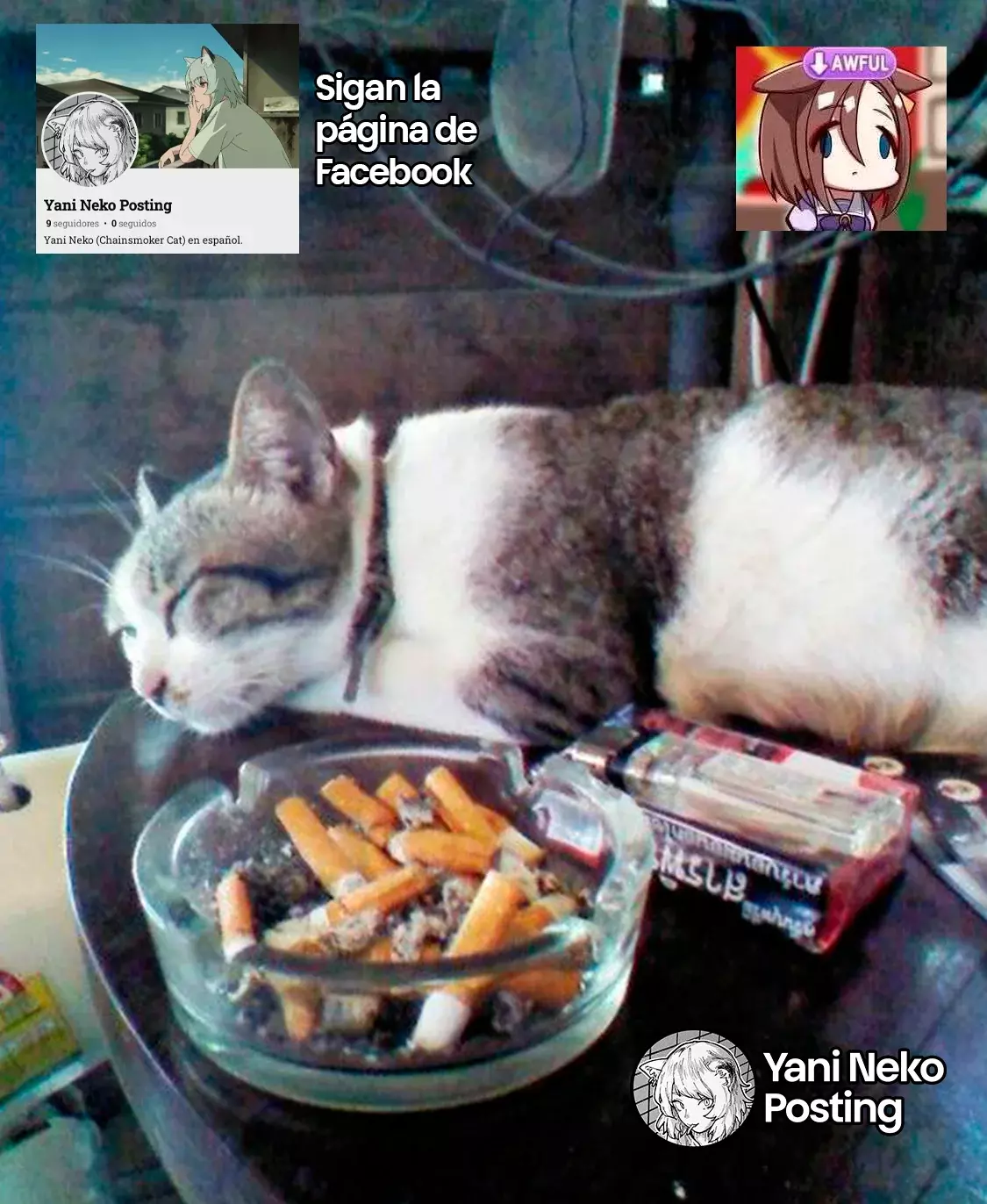 NICOTINEKO capítulo 40 página 5
